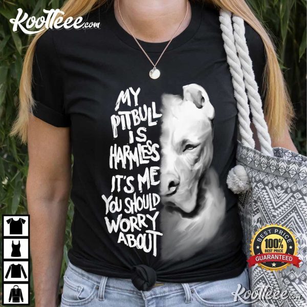 Pitbull Dog Owner It’s Me You Should Worry About T-Shirt