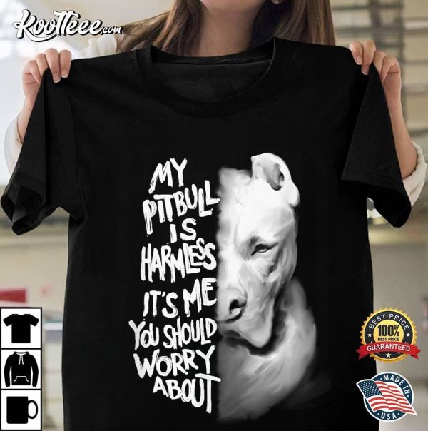 Pitbull Dog Owner It’s Me You Should Worry About T-Shirt