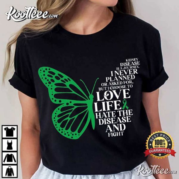 Kidney Disease Is A Journey Green Ribbon Kidney Warrior Gift T-Shirt