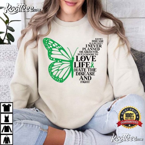 Kidney Disease Is A Journey Green Ribbon Kidney Warrior Gift T-Shirt