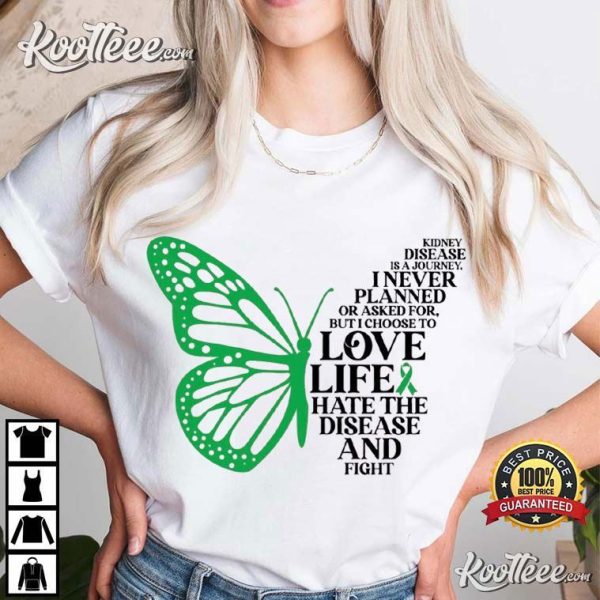 Kidney Disease Is A Journey Green Ribbon Kidney Warrior Gift T-Shirt