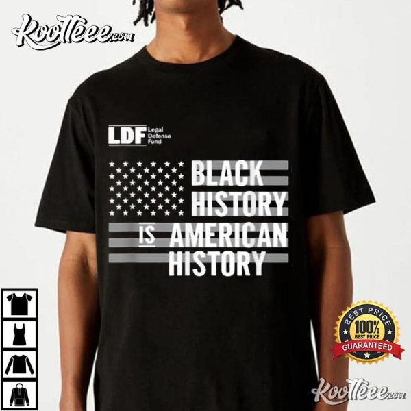 Black History Is American History LDF T-Shirt