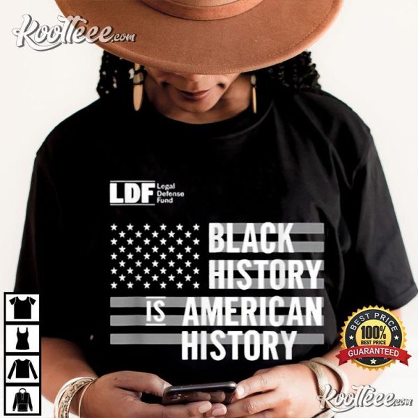 Black History Is American History LDF T-Shirt