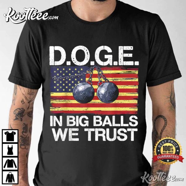 Doge In Big Balls We Trust T-Shirt