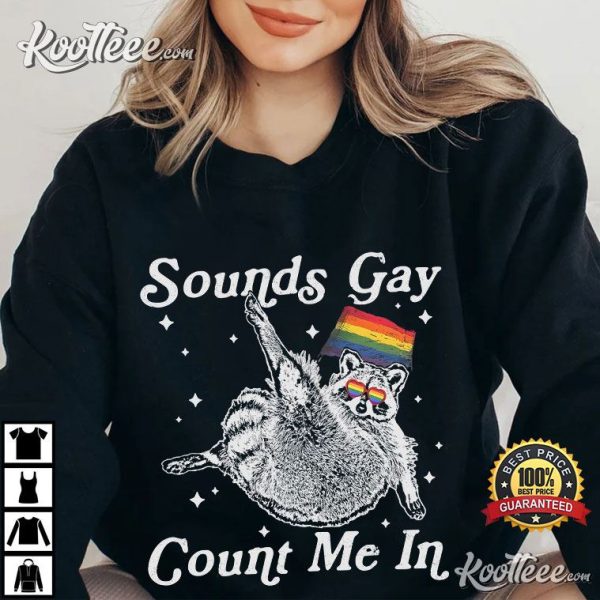 Sounds Gay Count Me In Raccoon LGBTQ Pride Month T-Shirt