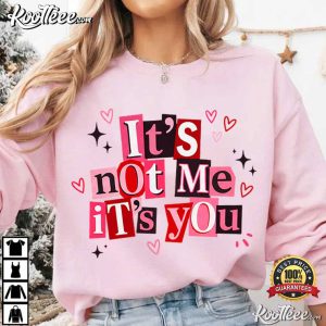 It's Not Me It's You Funny Valentine's Day T Shirt (4)