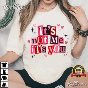 It's Not Me It's You Funny Valentine's Day T Shirt (2)