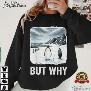 Nihilist Penguin But Why Funny Existential Meme T Shirt (4)