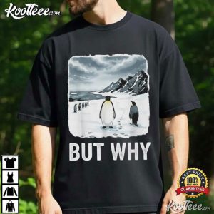 Nihilist Penguin But Why Funny Existential Meme T Shirt (2)