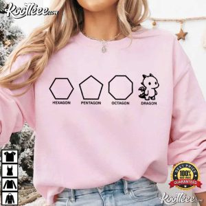 Dragon Pun Funny Shapes Math Teacher Joke T Shirt (1)