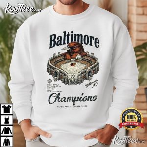 Baltimore Champions Oriole Park Vintage Baseball Fan T Shirt (1)
