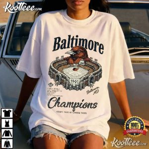 Baltimore Champions Oriole Park Vintage Baseball Fan T Shirt (2)