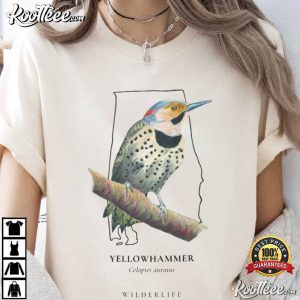 Brown Thrasher Georgia State Bird T Shirt (1)
