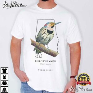 Brown Thrasher Georgia State Bird T Shirt (2)