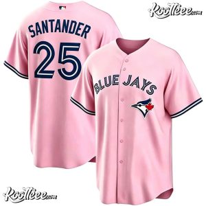 Toronto Blue Jays Pink Custom Baseball Jersey (1)
