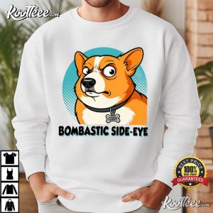 Corgi Combastic Side Eye Graphic Funny T Shirt (2)