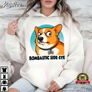 Corgi Combastic Side Eye Graphic Funny T Shirt (3)