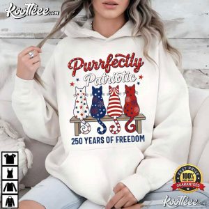 Purrfectly Patriotic Cat Lover Independence Day 4th Of July T Shirt (3)
