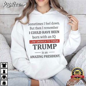 Trump Sometimes I Feel Down But Then I Remember I Could Have Been Political T Shir