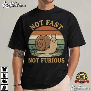 Not Fast Not Furious Funny Snail Pace Cute Vintage Sunset Slow Living T Shirt (4)