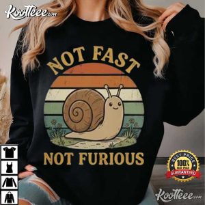 Not Fast Not Furious Funny Snail Pace Cute Vintage Sunset Slow Living T-Shirt Not Fast Not Furious Funny Snail Pace Cute Vintage Sunset Slow Living T Shirt (1)