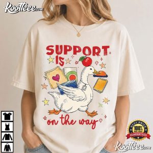 Silly Goose Special Education Teacher Funny T Shirt (4)