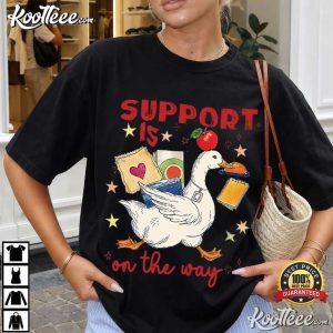 Silly Goose Special Education Teacher Funny T Shirt (1)