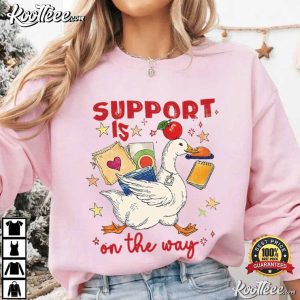 Silly Goose Special Education Teacher Funny T Shirt (2)