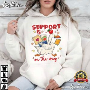 Silly Goose Special Education Teacher Funny T Shirt (3)