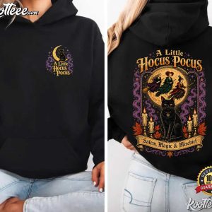 A Little Hocus Pocus Halloween Sanderson Sisters Witch T Shirt (3)