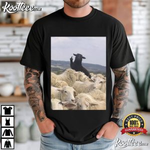 Black Sheep Flipping Off Sheep Graphic Funny Sarcastic Animal T Shirt (1)