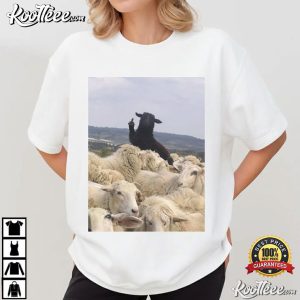 Black Sheep Flipping Off Sheep Graphic Funny Sarcastic Animal T Shirt (2)