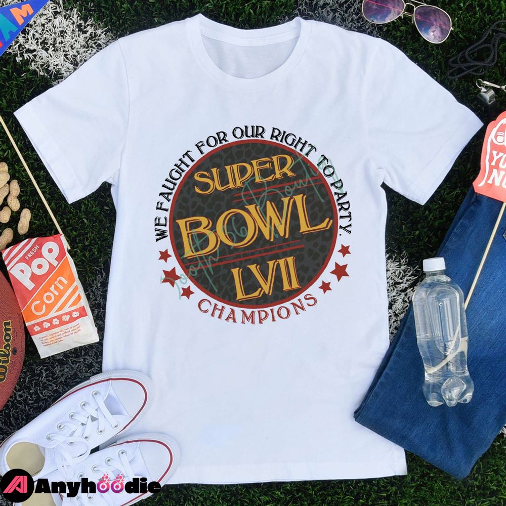 Super Bowl Champions Shirt funny Kansas City Chiefs shirts