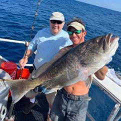 gaggrouper