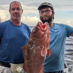 redgrouper