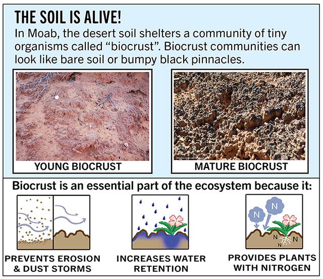 soil