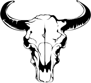 skull