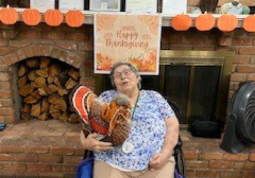 Image gallery marquee