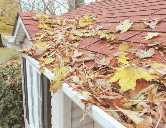 homewatch services (2)