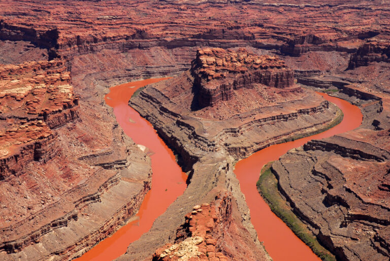 coloradoloopsred