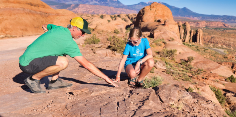 Dinosaur Tracks on the Trail