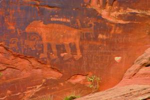 Bear shaped petroglyph with animals carved into rock near Moab
