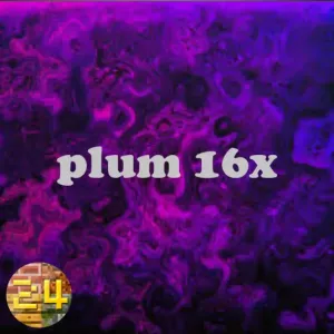 plum 16x 1.8.9