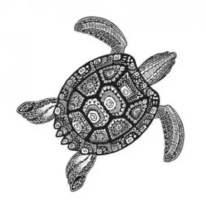 TurtlePack