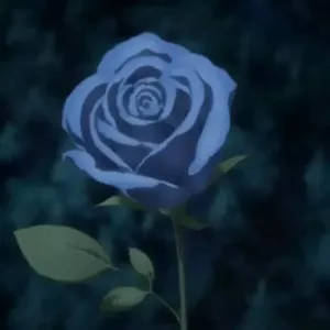 vltq blue-rose