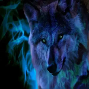 Blue Wolf Pack