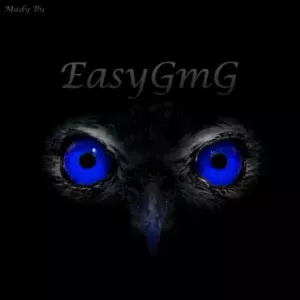 EasyGmGV1