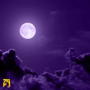 Purple Dreams [16x]