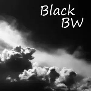 Black BW V2