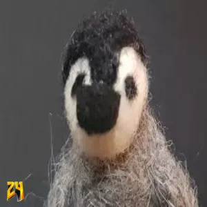 Penguin 16x